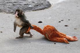 MONKEY PUNCH